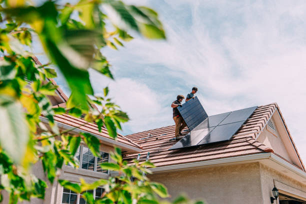 Best Roof Gutter Cleaning  in Oak Grove, MS