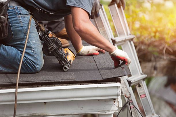 Best Roof Maintenance Services  in Oak Grove, MS